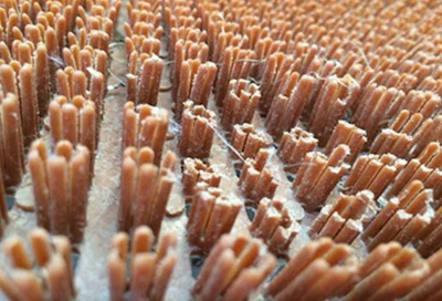 Cobb-nest-pads.jpg