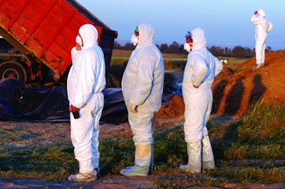 Disposing Of Poultry Carcasses