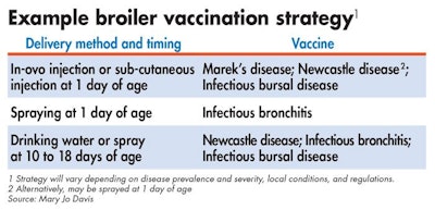 broiler-vaccination-strategy