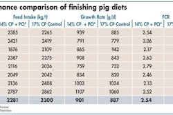 Finisher Pig Performance Comparison