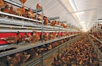 Jansen Comfort 2 Aviary System