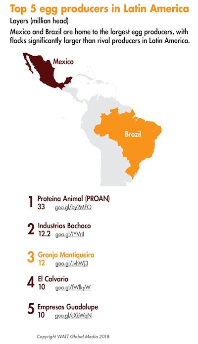 Leading Latin American Egg Producers 3