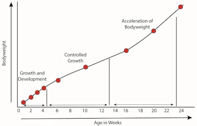 Line Graph Of Phases 03