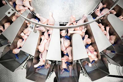 Marel-batching-drumsticks