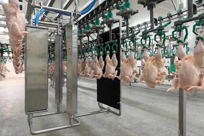 Foodmate-traysort-imaging