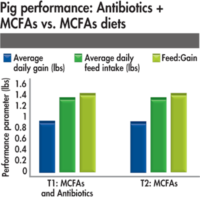 Pig Performance On Mcfa Versus Antibiotic Combination Diet