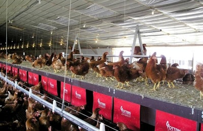 Potters Flat Top Nest Boxes