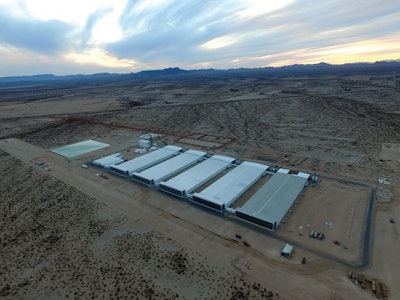 Rose Acre Lone Cactus Egg Farm