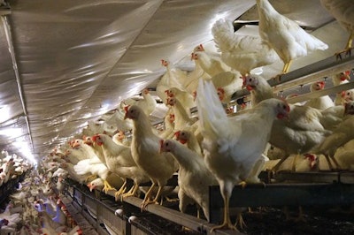 Salmet high rise aviary