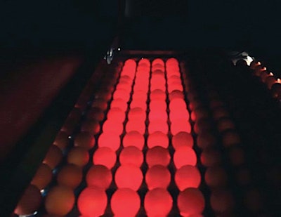 Sanovo laser lights