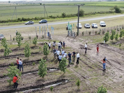 Tree-planting-Calisa-2-Argentina