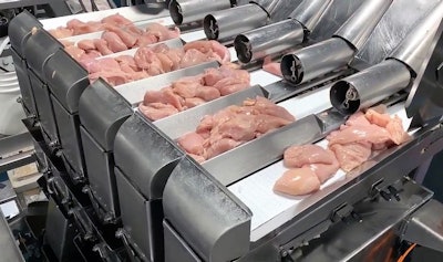 Triangle-Belt-Fed-Weigher_fresh-poultry