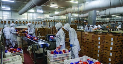 Workers Processing Plant