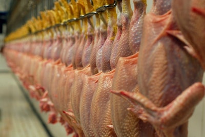 Chicken Processing Closeup