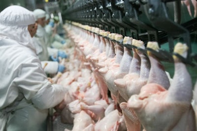 Chicken-processing-line