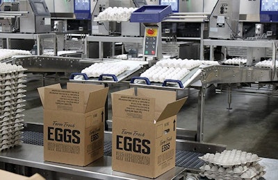Egg Packaging
