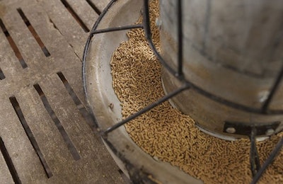 Feed Biosecurity Swine Fever