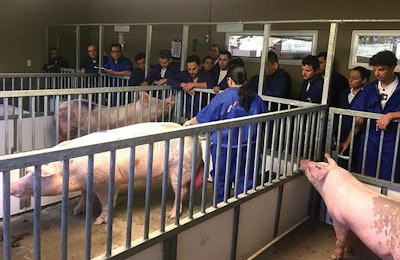 hands on pig farm training