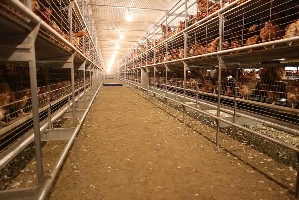 layers-housing-1311EImps2