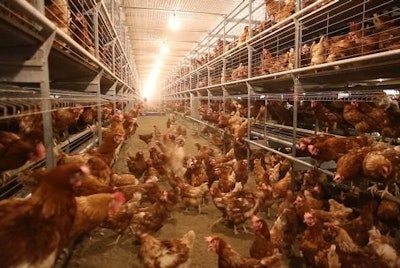 Layers Housing 1311 E Imps6