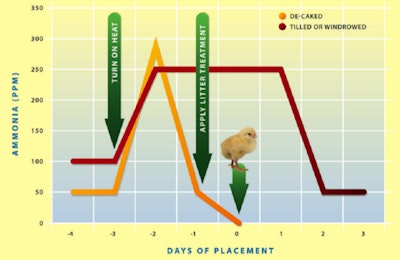 Figure 1 Ideal timing of pre-heating, litter treatment and bird placement after ammonia purge