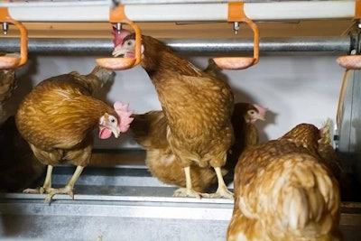 nest-layers-1311EImps1