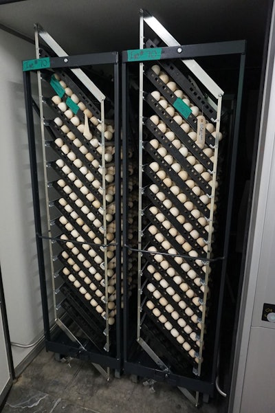 opened-single-stage-incubator