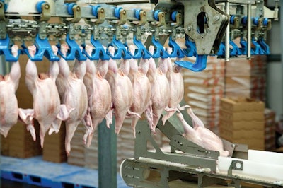 raw-chicken-processing