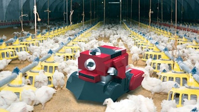 robot-avicola