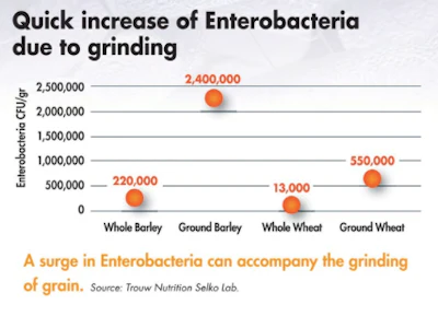 Salmonella-table1