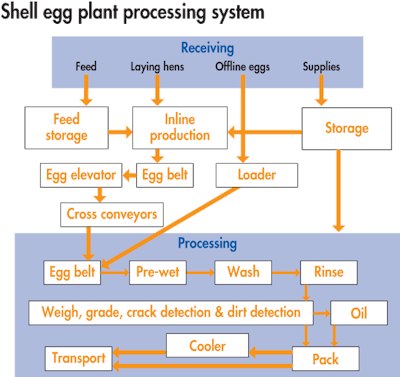 Shell Egg Plant Processing System