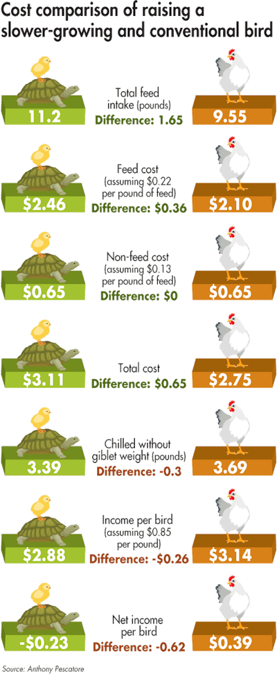 slow-grow-cost-comparison