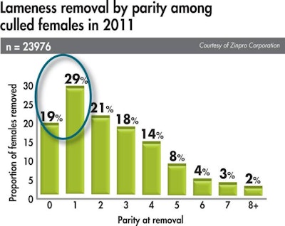 sow lameness removal by parity