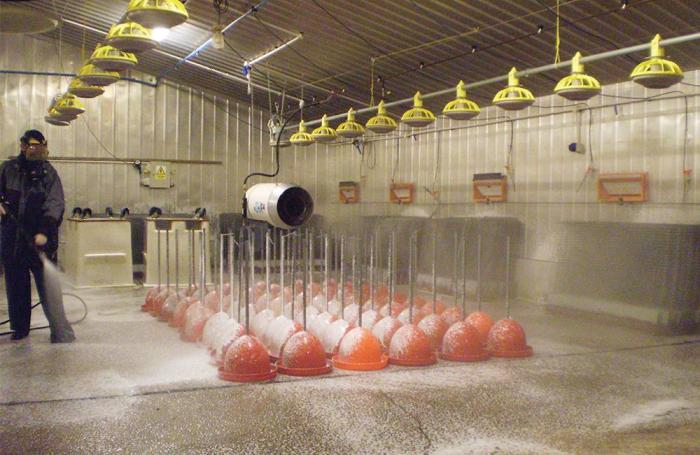 Spraying Detergent 1606 P Ibroilerhousecleaning1