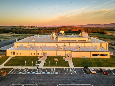 Svo Acorn Organic Plant