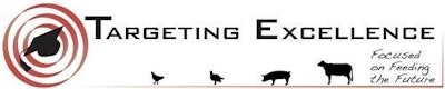 targeting excellence logo