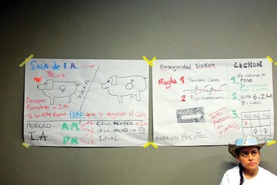 understanding modern pig farming