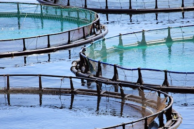 Aquaculture Fish Farm 1