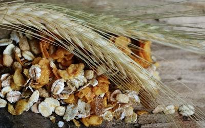 Cereal Grain Via Pixabay July 2022