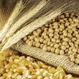 Corn Soybeans Wheat