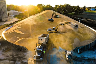 Photo Contest From Michael Kaeb