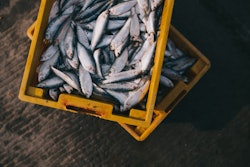 Fish Shipping Fishing Boat