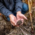Man Holding Soil In Corn Field Courtesy Of Cargill