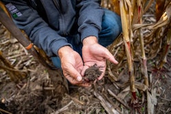 Man Holding Soil In Corn Field Courtesy Of Cargill