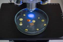 Petri Dish