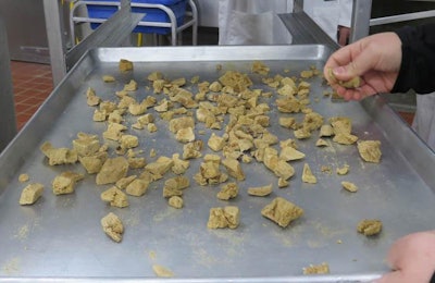 Freeze Dried Meat Ingredient