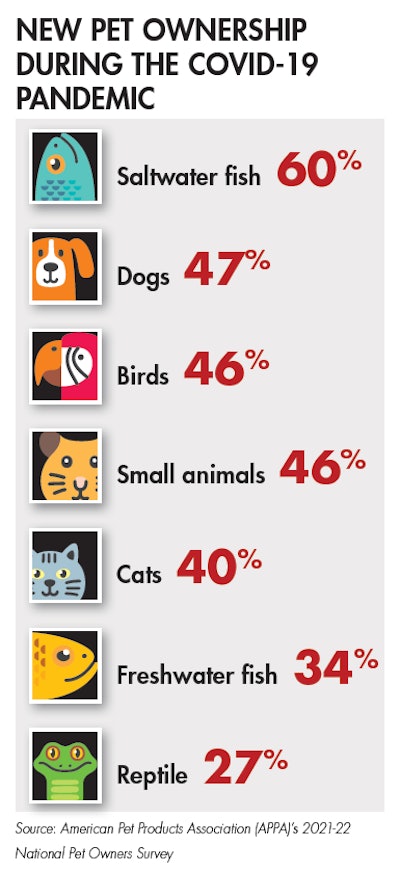 Microsoft Teams Image (2)