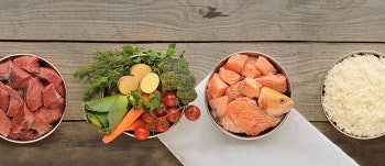 raw petfood in bowls