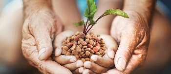 Life cycle assessment