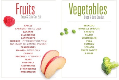 Fruit and Veggie chart